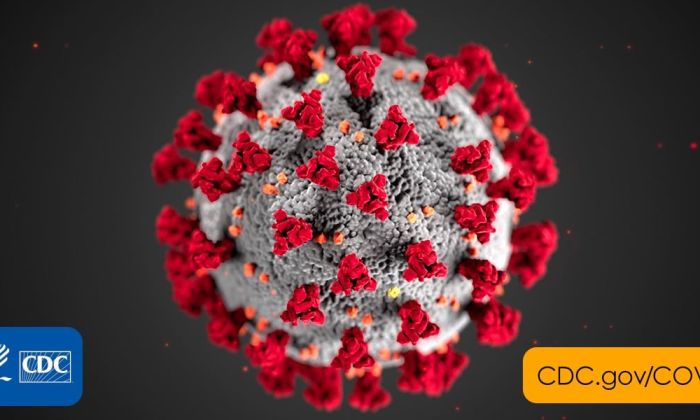 COVID-19 (Coronavirus) image