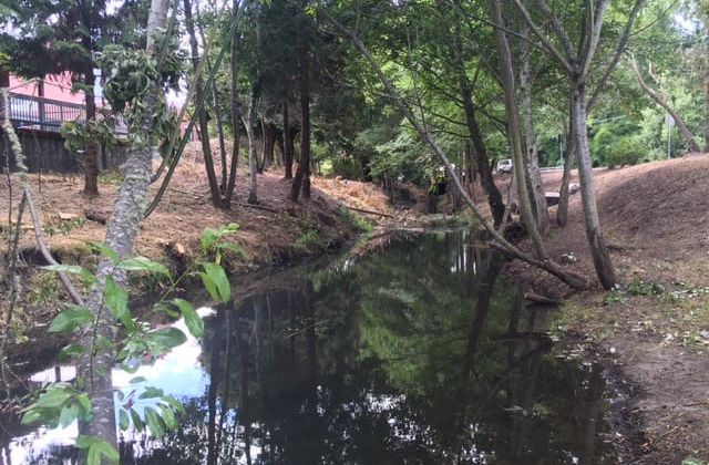 Dixon Creek riparian area