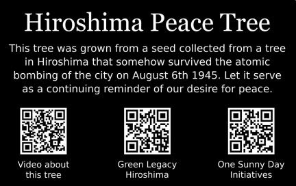 Hiroshima Peace Tree plaque