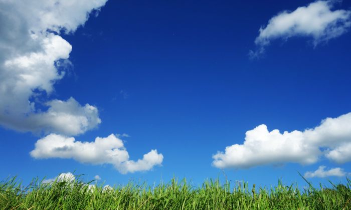 Blue sky and green grass field