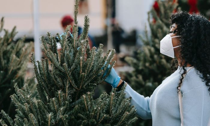 Wearing a face mask at at Christmas tree farm