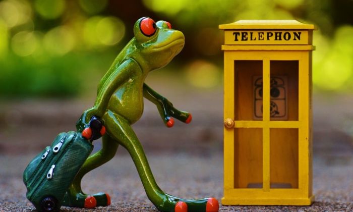 frog figurine walking into phone booth