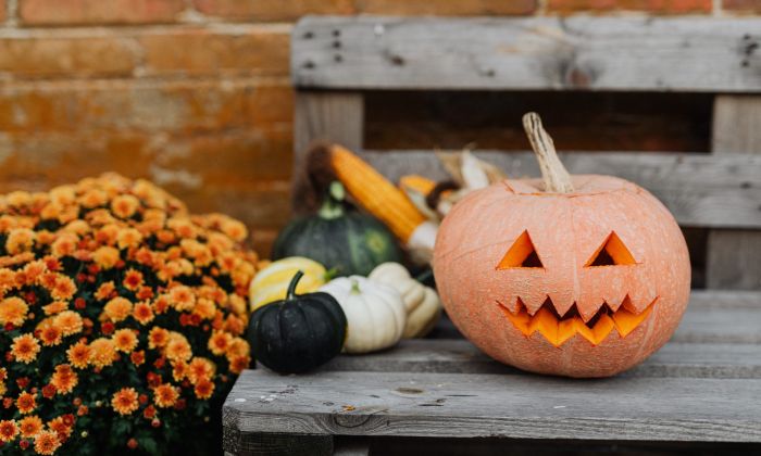 Halloween porch