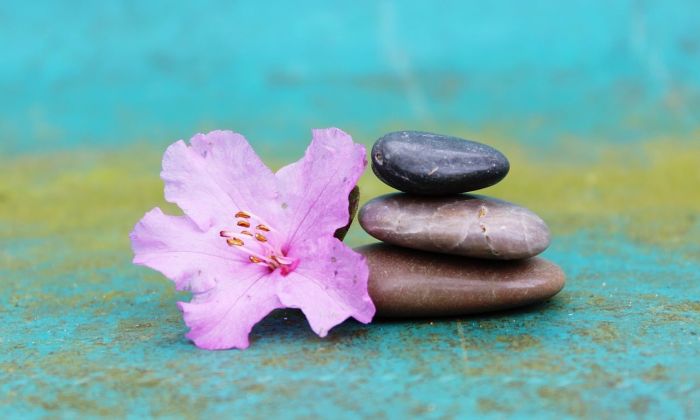 Rocks balancing beside flower