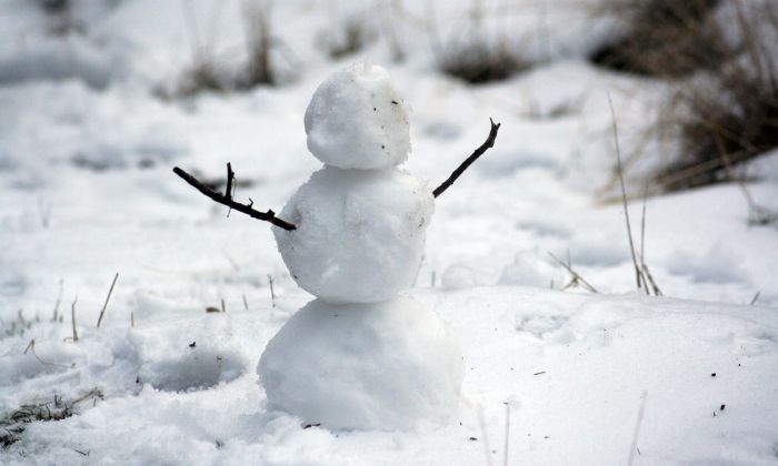 mini snow man